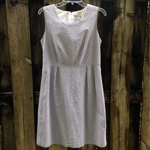 Blue and White Merona Seersucker Dress